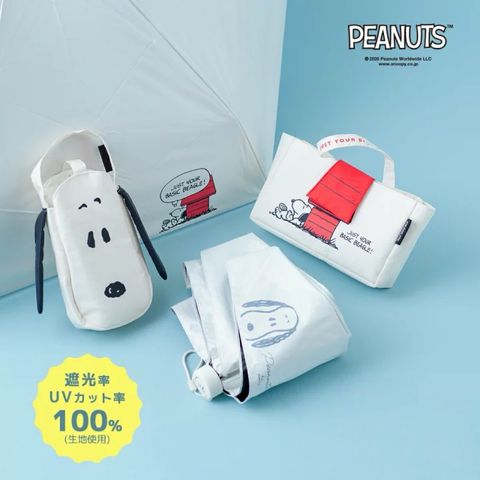 image_9DC61BFD-11C9-4DE3-8099-5CA111445DBE_1773305365