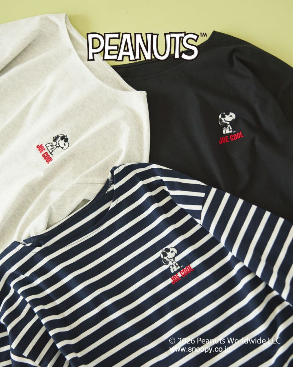 image_A207EE16-A7ED-446D-A329-29CAECF35422_1773817276