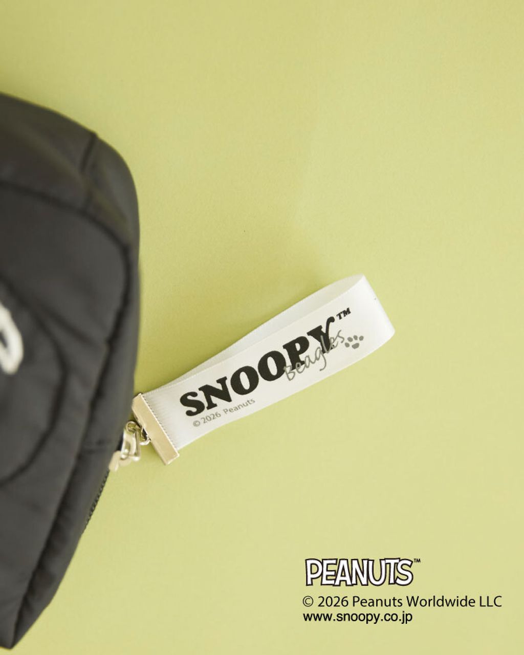 image_B9286C5B-B0DA-4348-BC35-340955C7DE36_1773817276