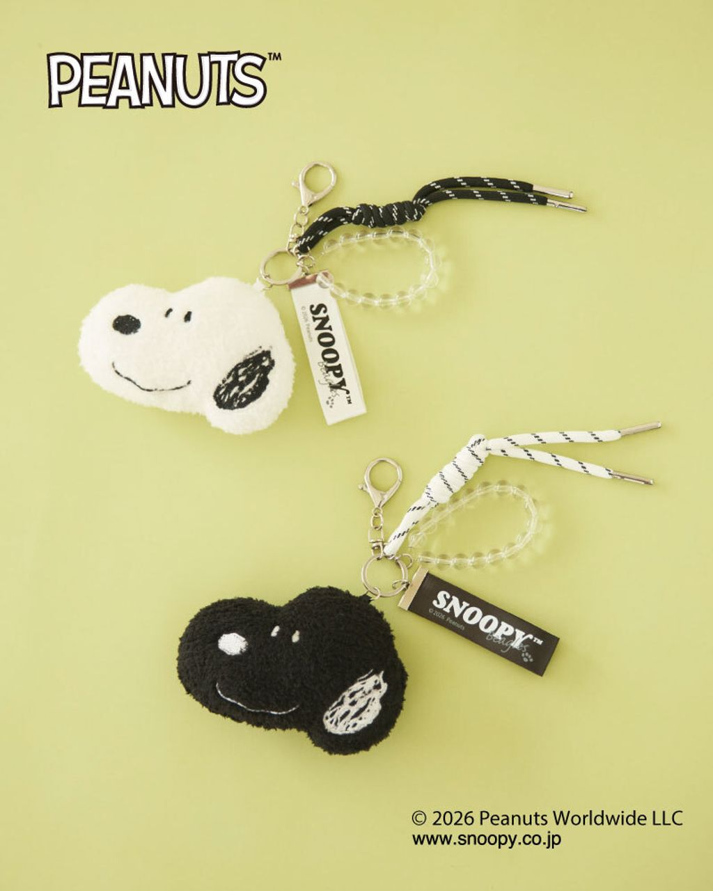 image_FCB98515-C3A9-4957-91CB-5DF588F64003_1773817276