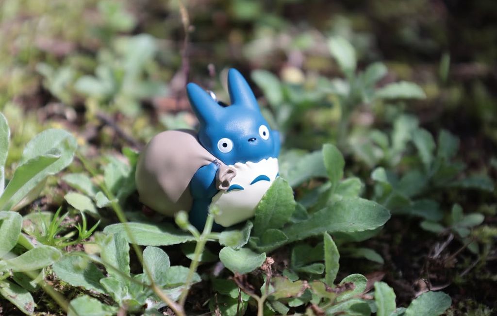 image_31F0B8D5-62EC-4BBD-84CE-FDCC69086172_1776765342