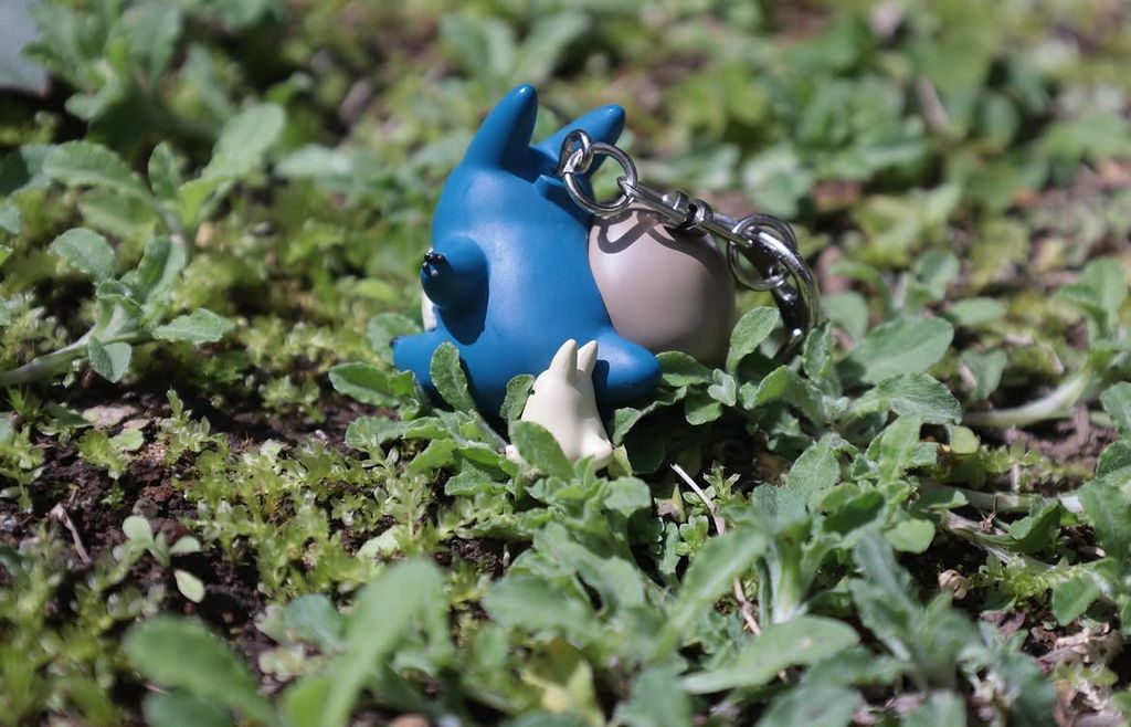 image_BB4F658C-4B8B-471B-8FAB-8FE555C317AF_1776765342