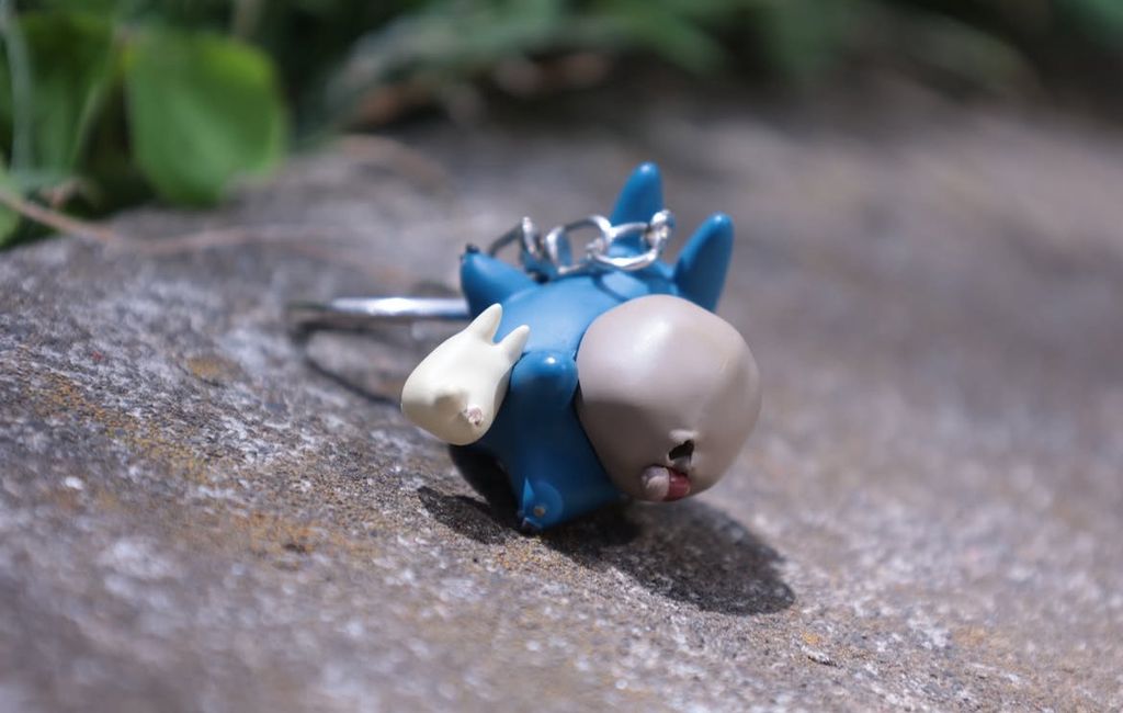 image_2D19F034-A947-4271-A15D-961795438D69_1776765342