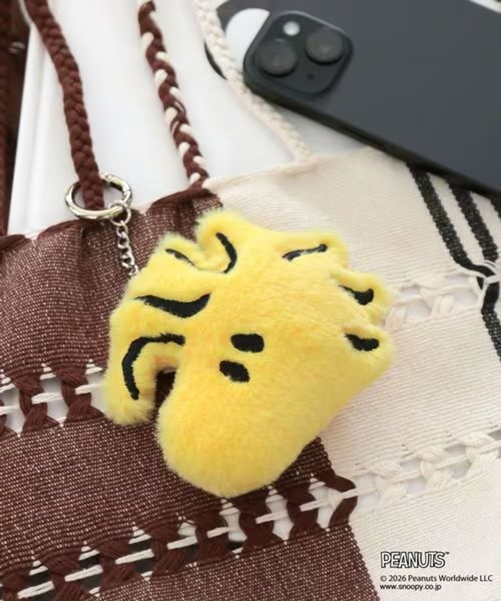 image_55450763-C753-4A69-BC3A-AB0A96DA4BF9_1777036843