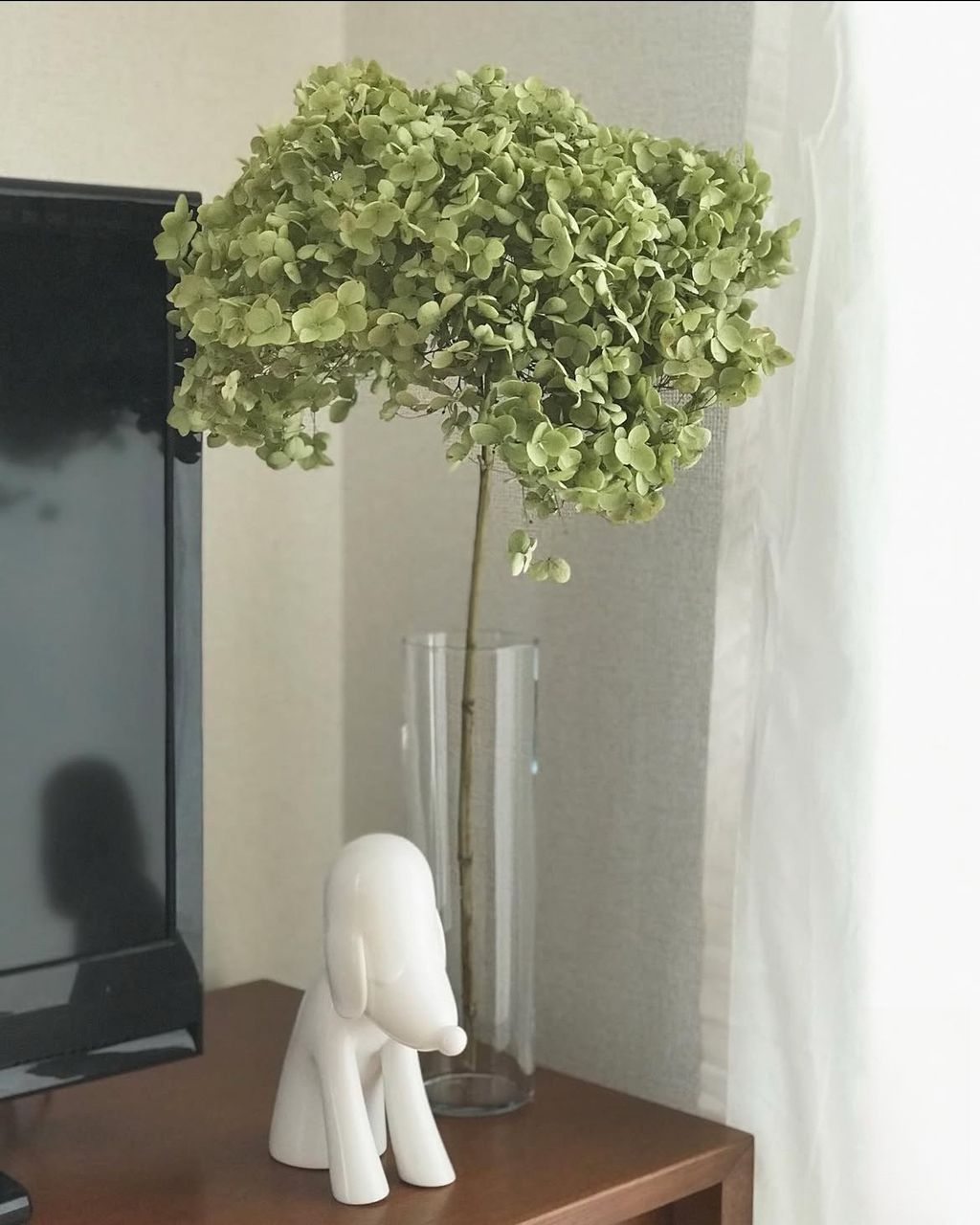 image_AC3D21CA-2EE7-4FFC-972A-00877872B608_1779701800