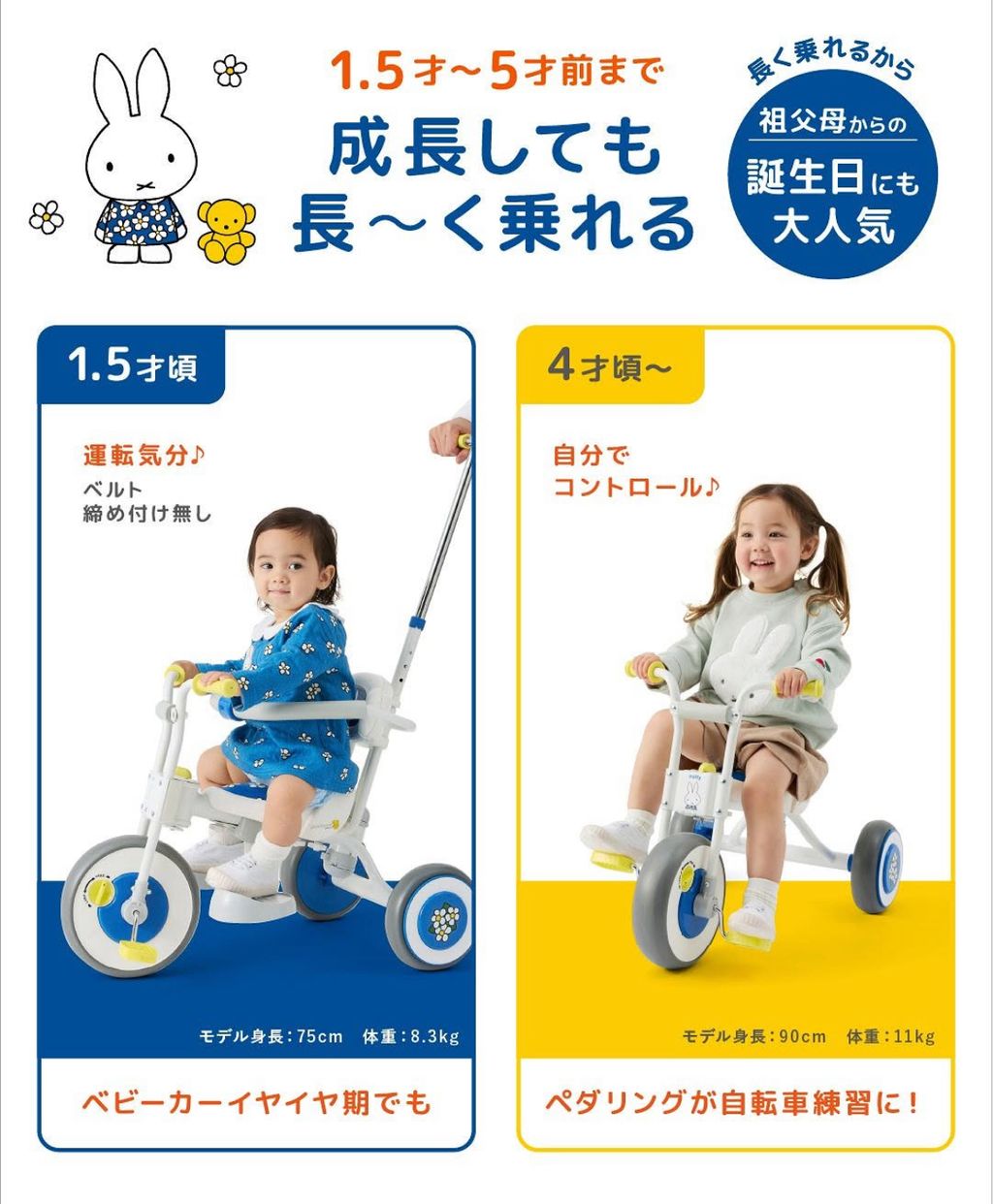 image_4AE31C09-E9F5-4929-BAD8-6A1F29A7FD1A_1792156477