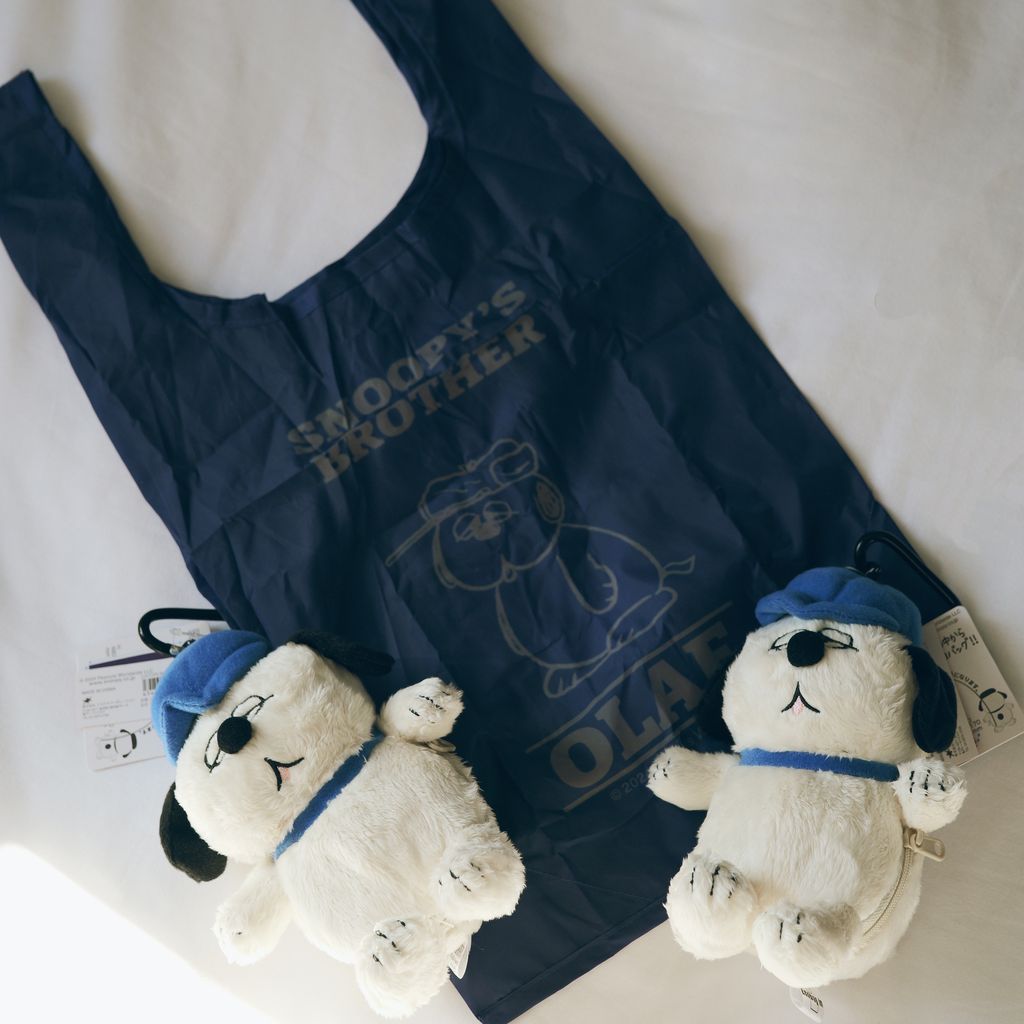 IMG_0748-1736350980138