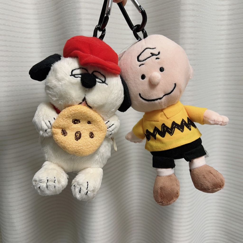 IMG_1536-1736588804390