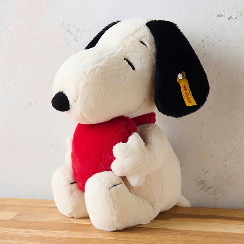 IMG_2870-1738750553905