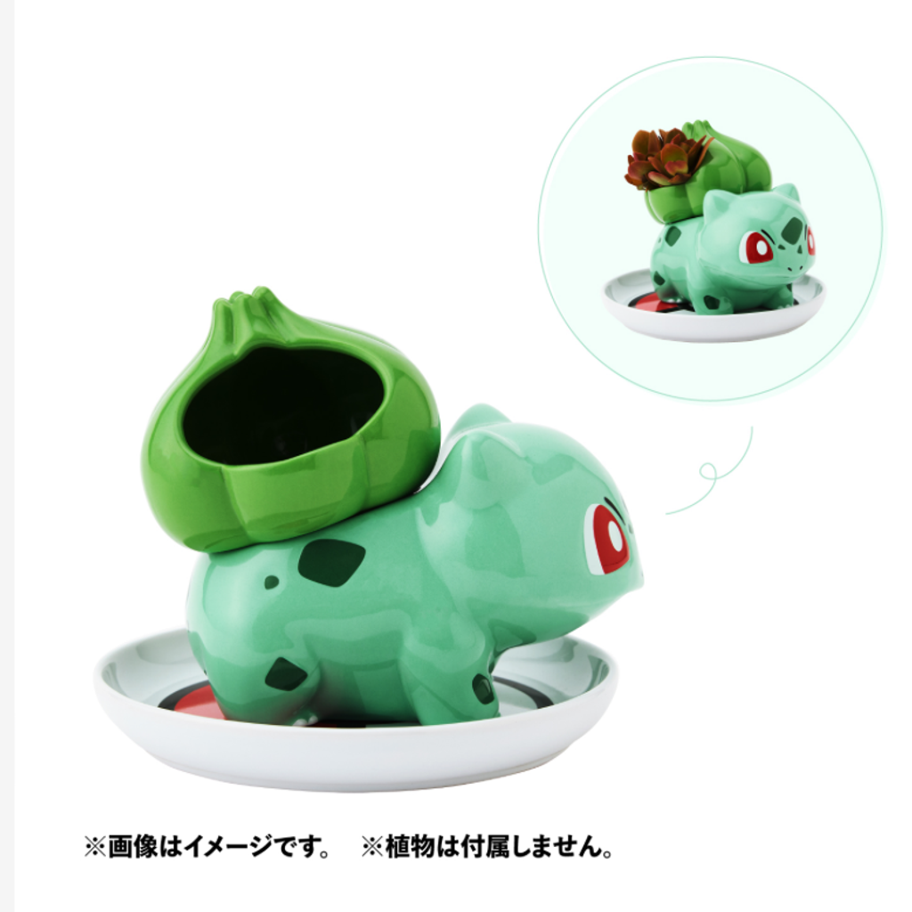 image_4322FD16-467D-4BB9-83F8-C97331142454_1745133426