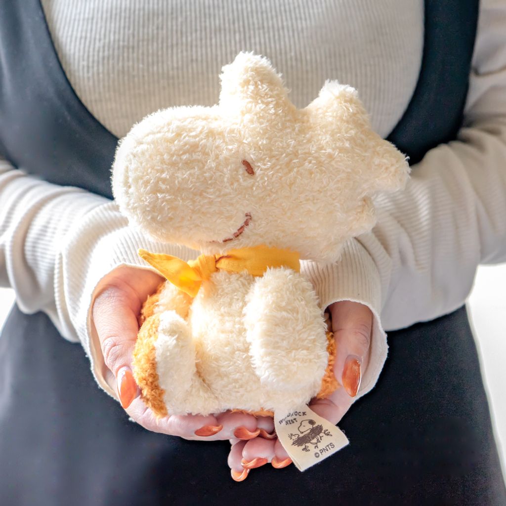 image_AAD614F2-E7CB-4039-B54A-8343F56EBE75_1745492245