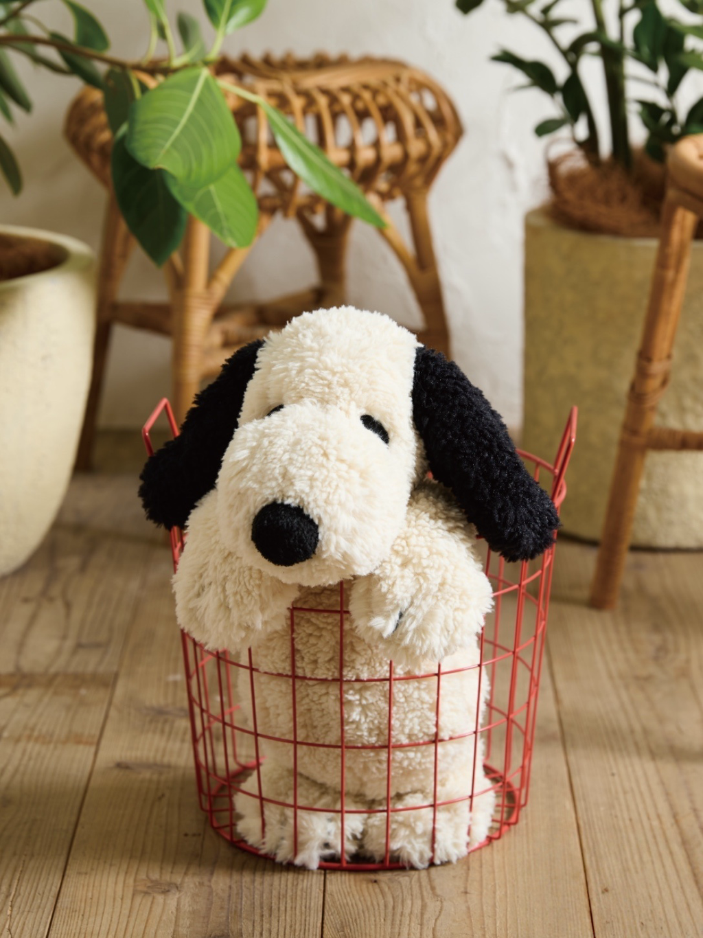 image_D18F2552-0ECE-4829-ACC1-2F53AE57DA94_1747888300