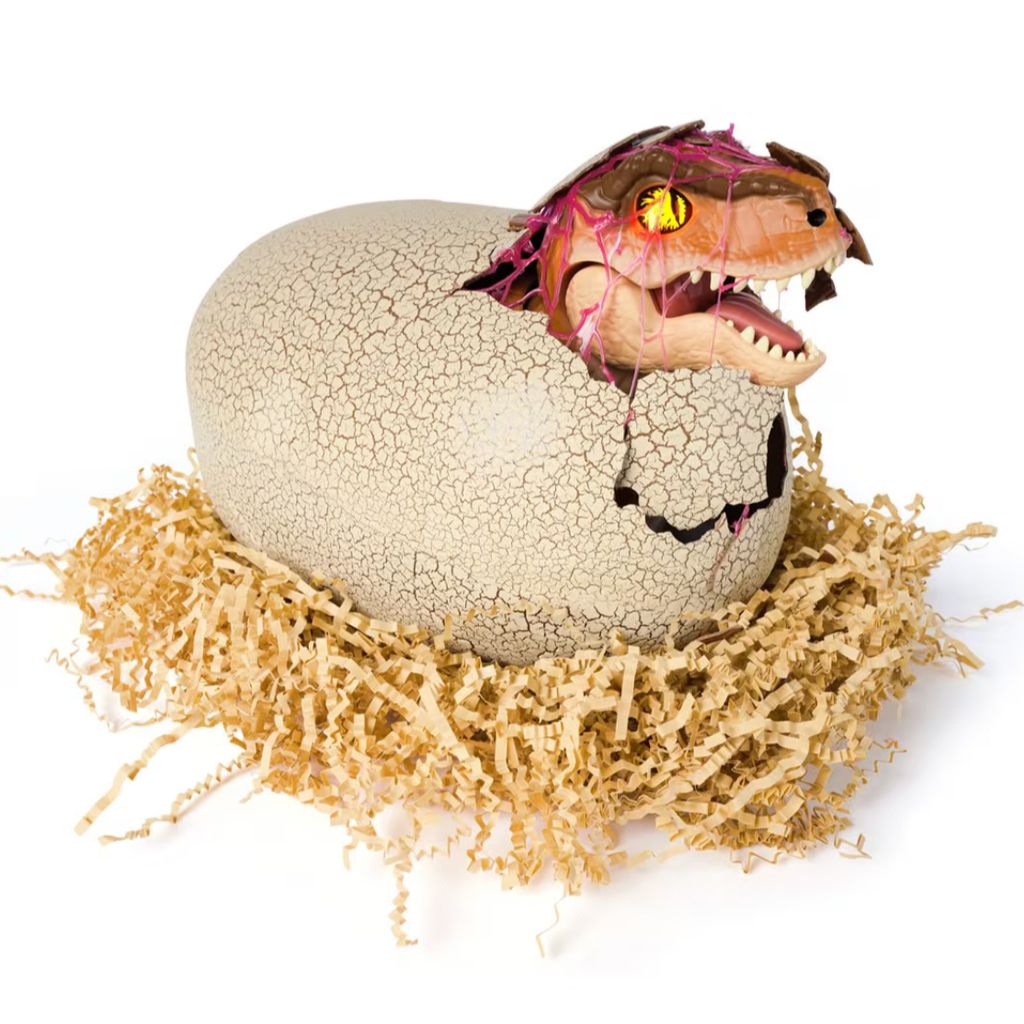 image_2E0EEDD1-710E-40DC-B006-746EC5D6D812_1751454016