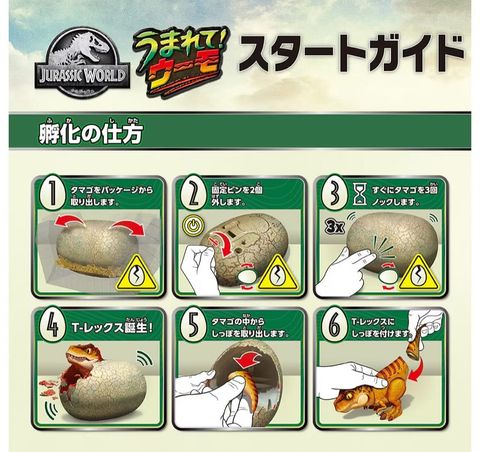 image_BF12016A-6C9A-4186-9DE6-BBE7C337B305_1751454235