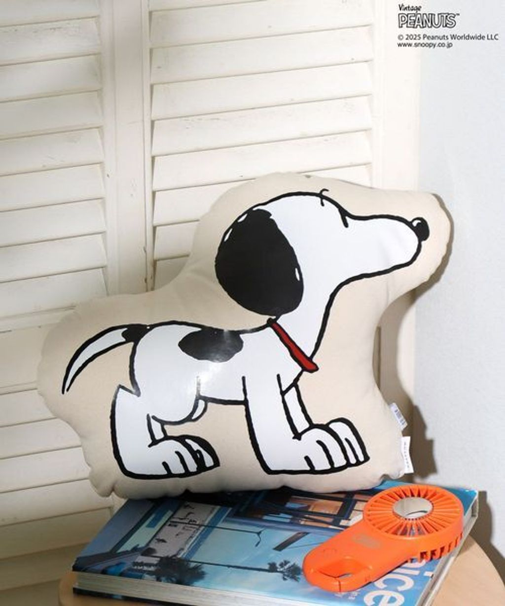 image_A46FDA2B-BA17-4FDE-86B9-CAB4921D97D1_1752072721