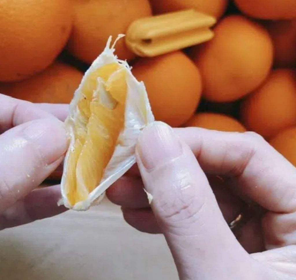 image_B9037ABF-E79B-45FE-ABBF-A5E532ACCC6F_1753163928