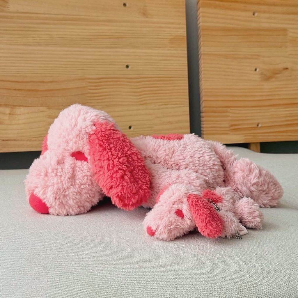 image_BD720BA9-3589-48A0-9B23-5A9388CDE647_1753951213