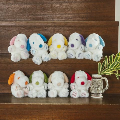 image_F8B0C127-60A0-45BB-BA83-05B6A425E8BA_1755693860