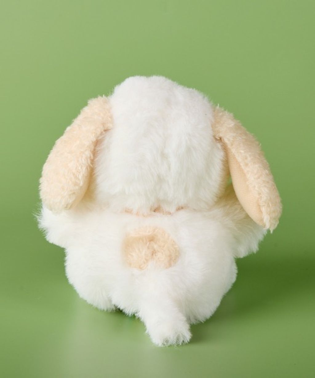 image_EE6961E9-2EED-4E96-BFD7-DBDD2EB0150E_1755693860