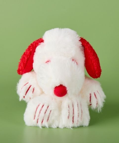 image_280DDE73-5615-4C32-86A5-224B9758FB7E_1755693860