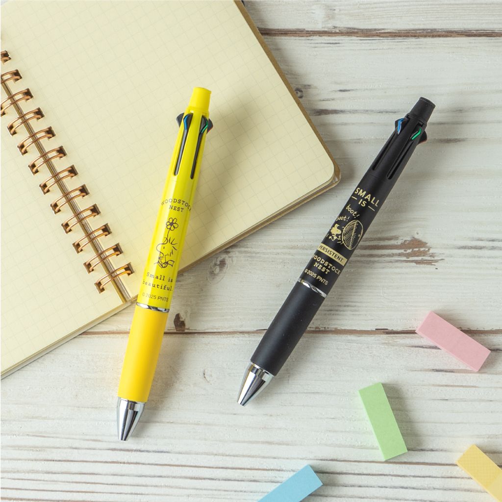 image_47AD736D-57F4-4760-A546-BE8F5425B7F3_1756721322