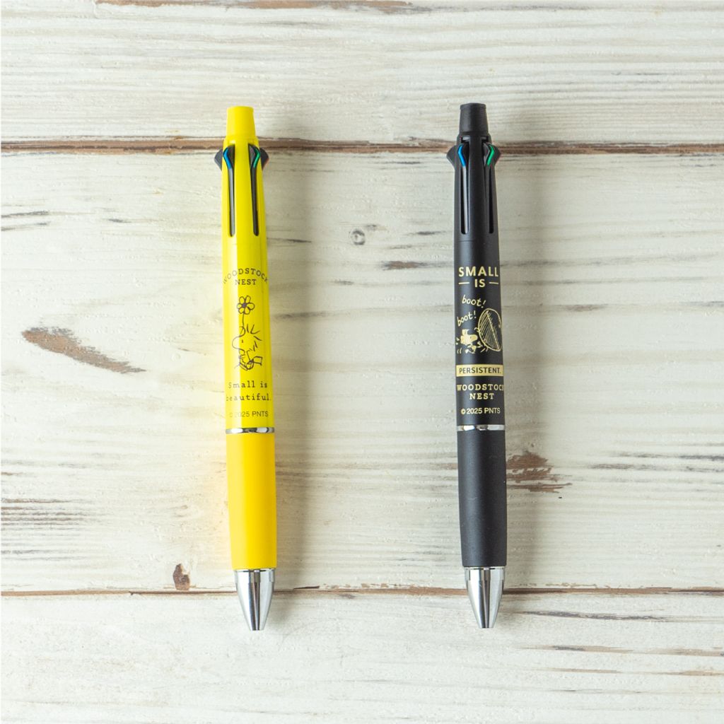 image_443AA4C0-741D-4F96-8039-B68F2568FC4D_1756721322