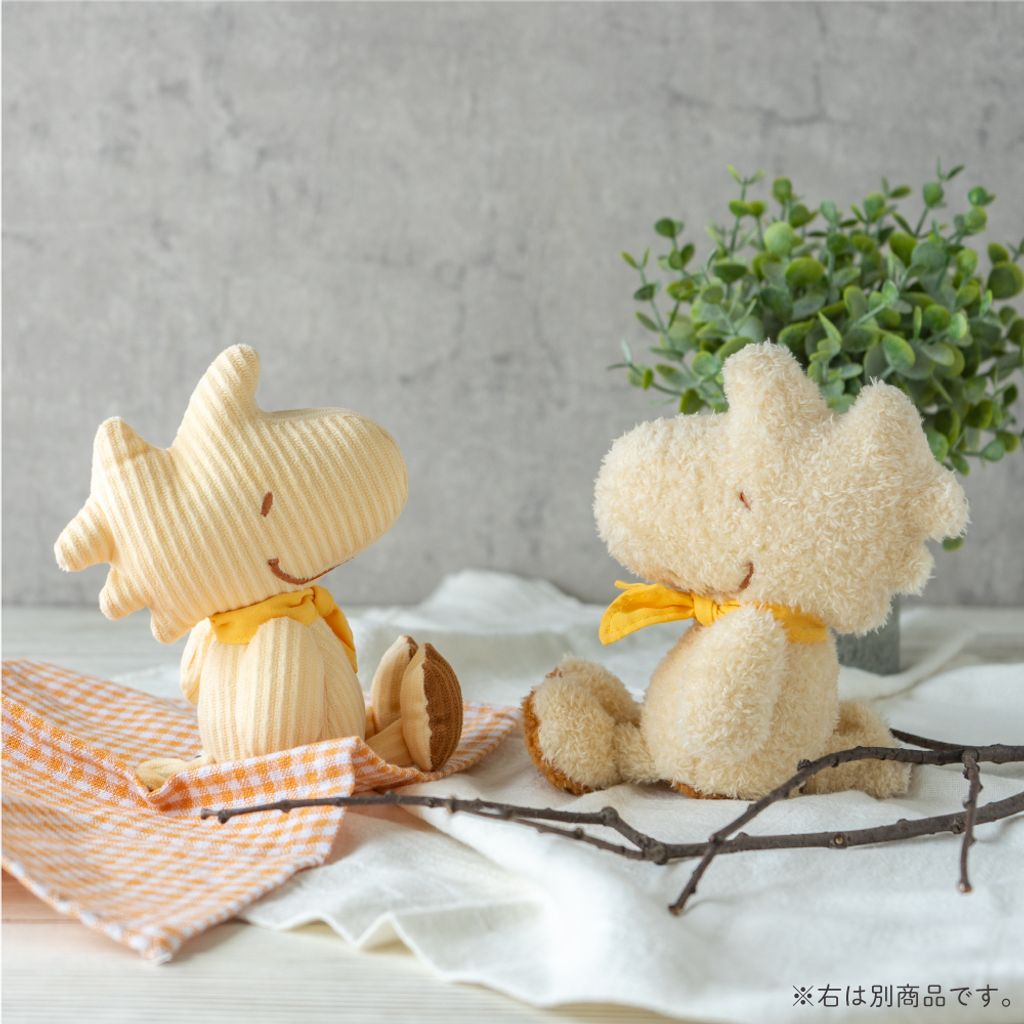 image_0A72DFBE-00C3-44ED-81B0-8C05560A4A1E_1756721322