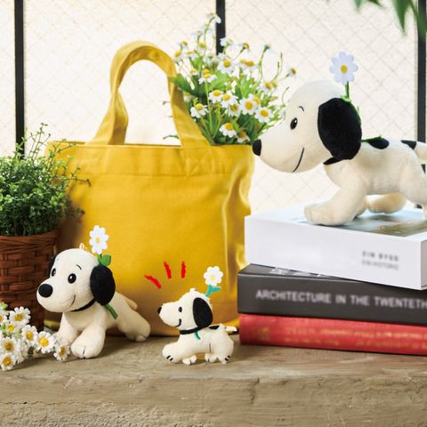 image_E72DA5C9-57DA-4746-9A97-73A7BE973031_1757514749