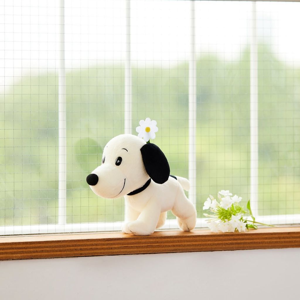 image_E620641B-34E1-491C-ACEB-6DD57F4A55ED_1757514749