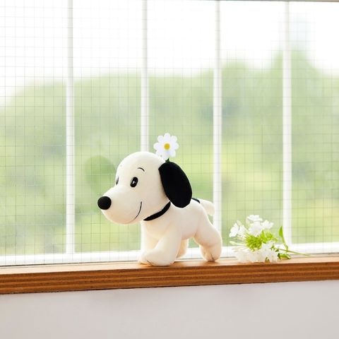 image_E620641B-34E1-491C-ACEB-6DD57F4A55ED_1757514749