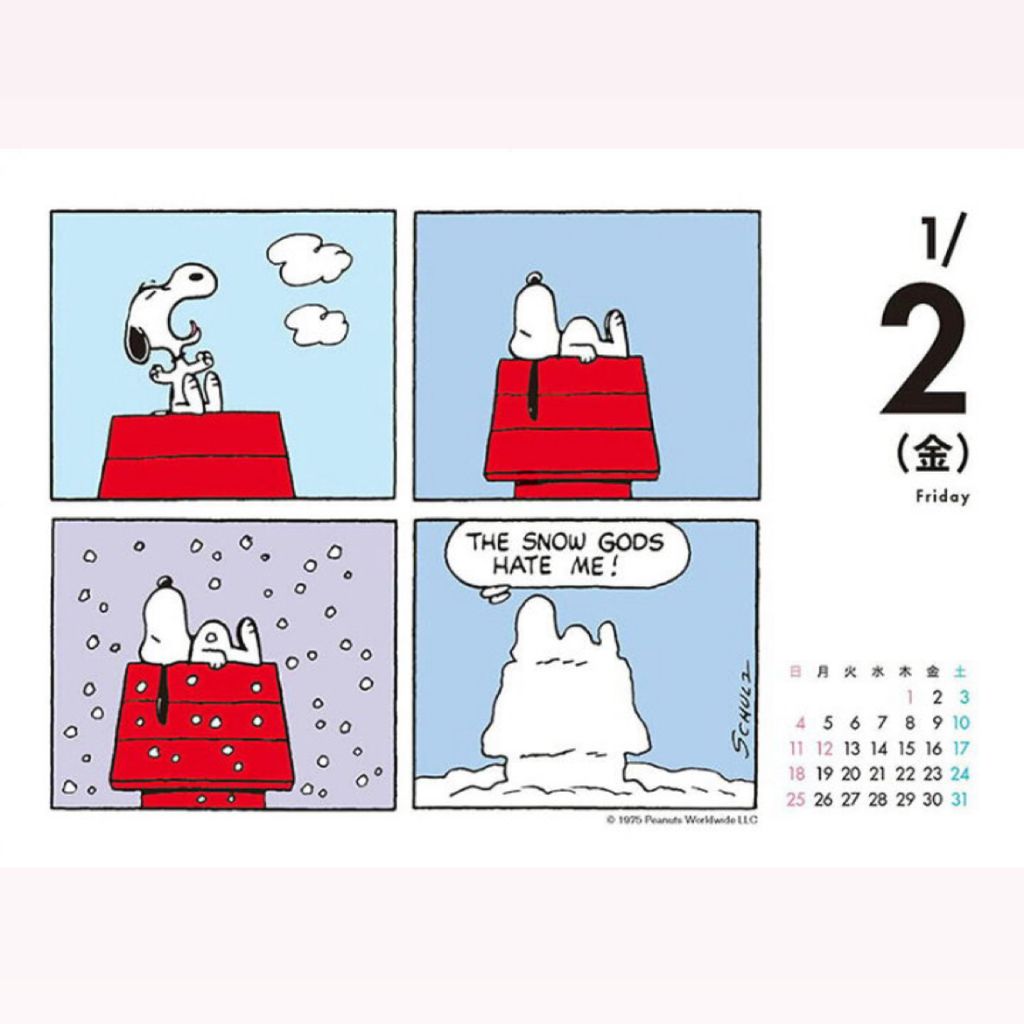 image_BB6532B7-78CF-4FDC-8050-6FF7642B03EC_1757844774