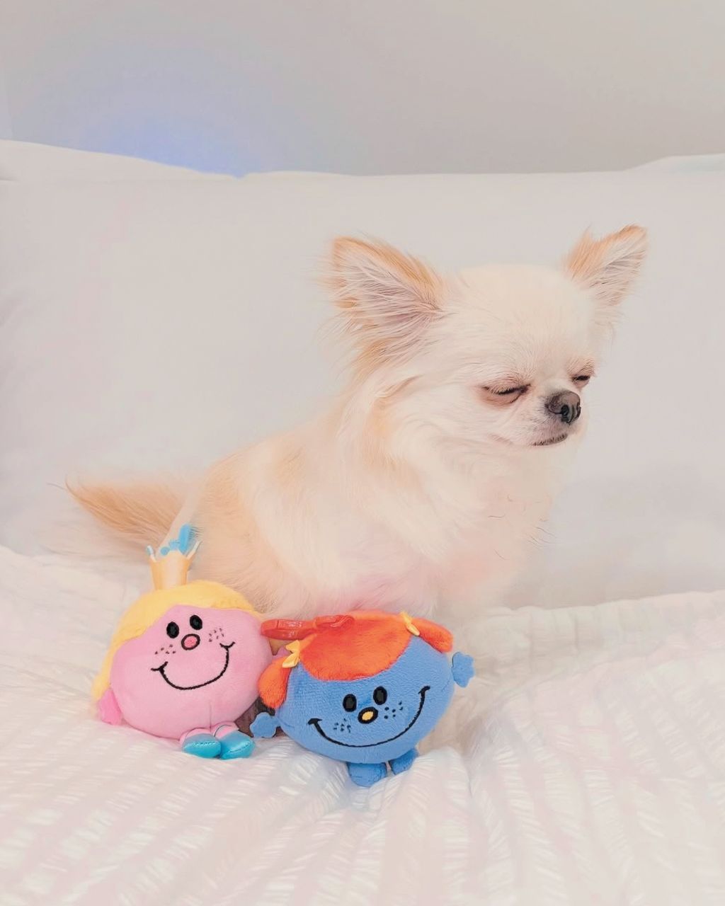 image_95BA3606-903E-4CD4-9F08-8BCA1DC32CFB_1758101421