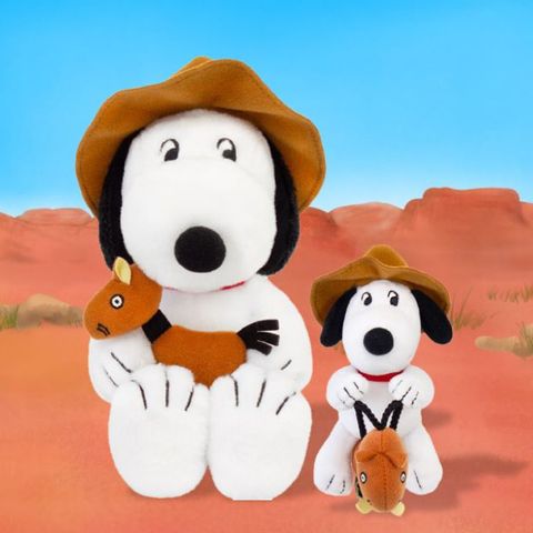 image_5E59A79B-D475-4E86-92FA-CC0B63BB5AFF_1758278786