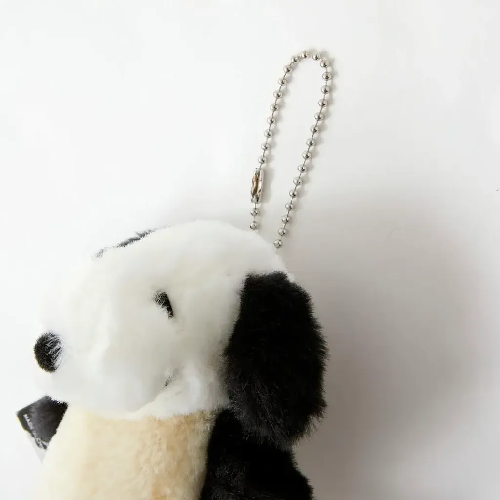 image_8C1B03E1-F9F7-4A40-A2BE-8CA9E75BA496_1759045434