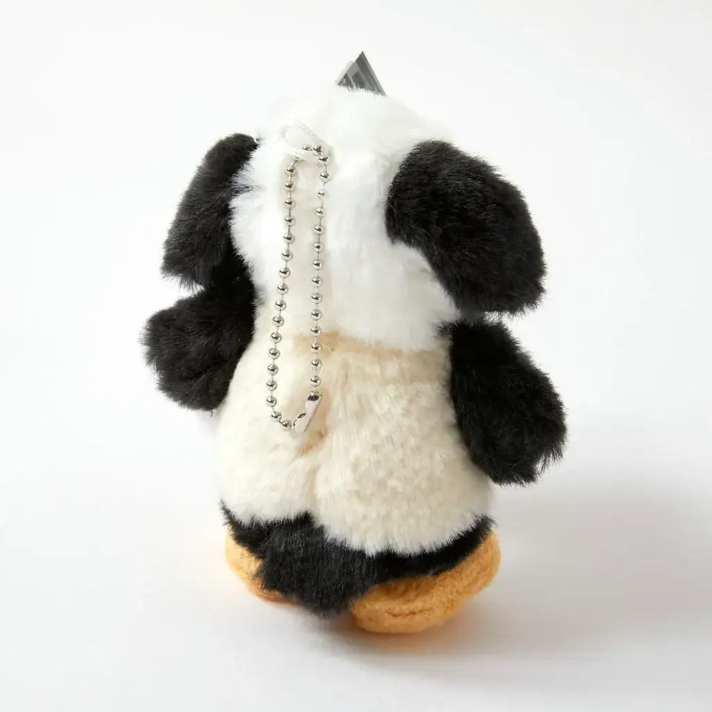 image_332CB0D4-276D-40F5-8BAB-1A83E1C78DD6_1759045434