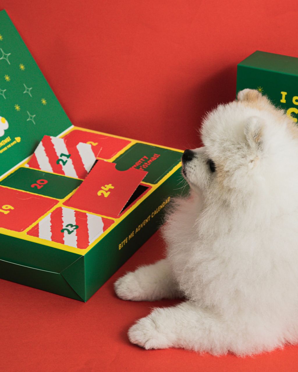 image_7849AA8D-3C13-41DC-B36C-975C2FEE906B_1762521040