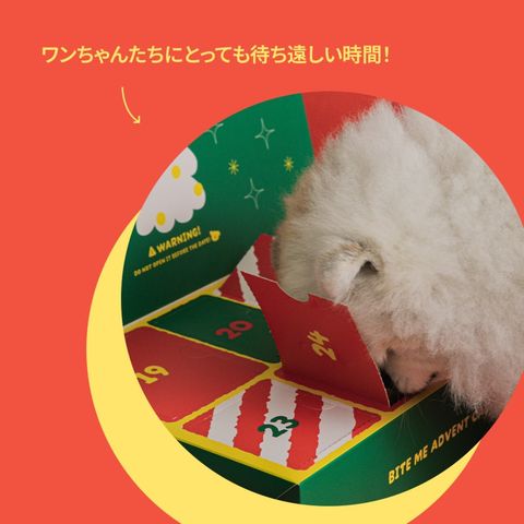 image_B37C3AC9-C72B-41FD-887D-E16A98C87135_1762521482