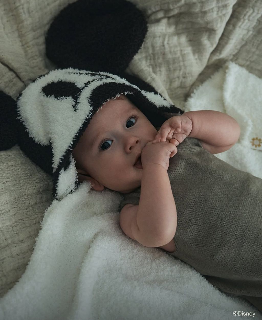 image_C82E162A-1D6C-4150-BDD8-D798CEFAD1F1_1762951421