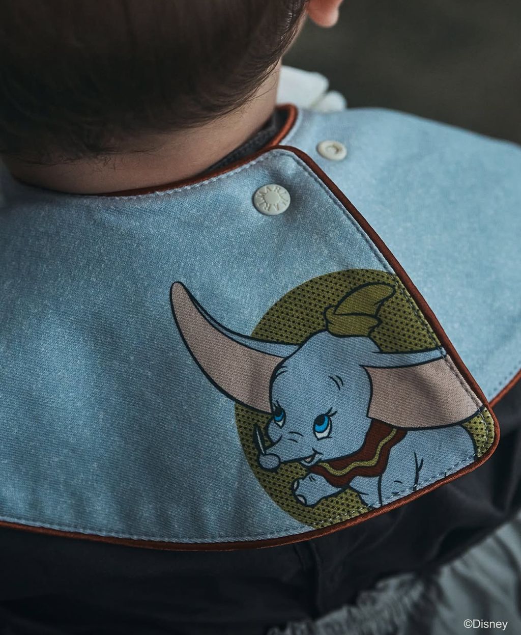 image_53D03ADB-F331-4CBF-B159-6946AFEE96DC_1762951421