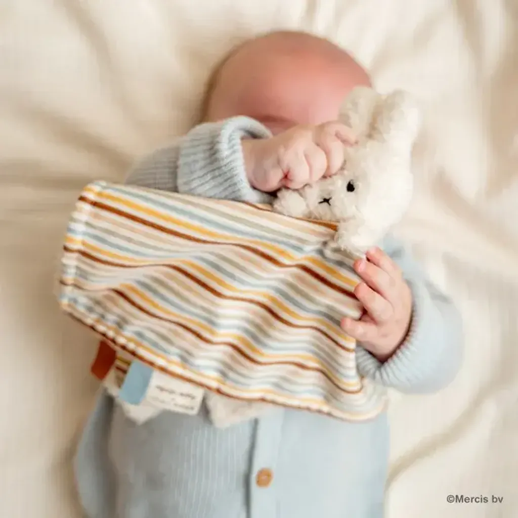 image_51D0A38D-B49E-40F0-8664-BC47E7D03AAF_1763125212