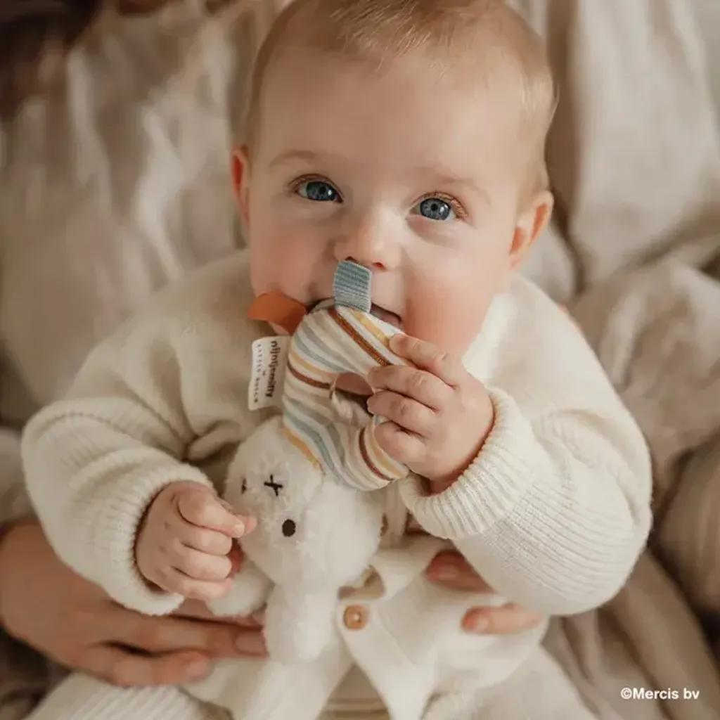 image_F9F3B993-2F8F-4683-9407-997C637E7944_1763125212