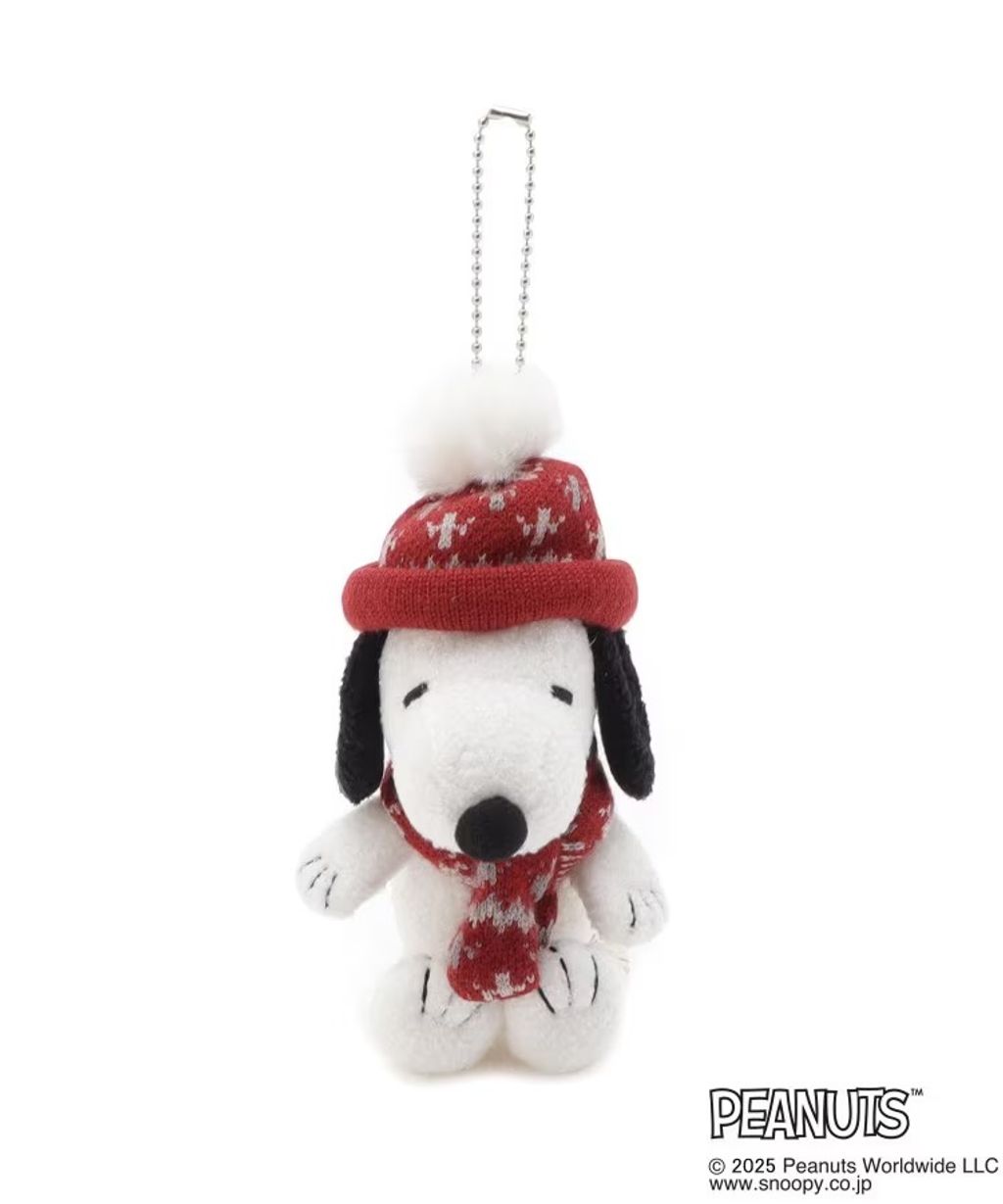 image_A004C4A0-0B64-45BD-B25E-72D4D4FE331D_1763188583