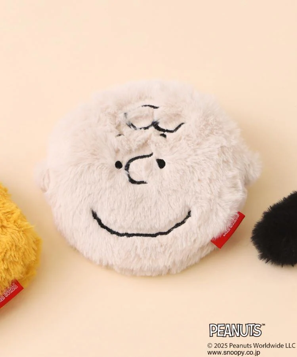 image_8878D012-E08A-4EE4-BAD6-83712F69670B_1763369725