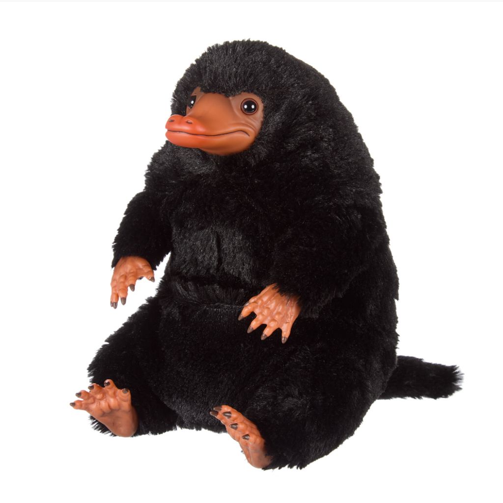 image_27BC396A-100D-4D5A-A7F5-4A1AD40BC9F4_1763893921