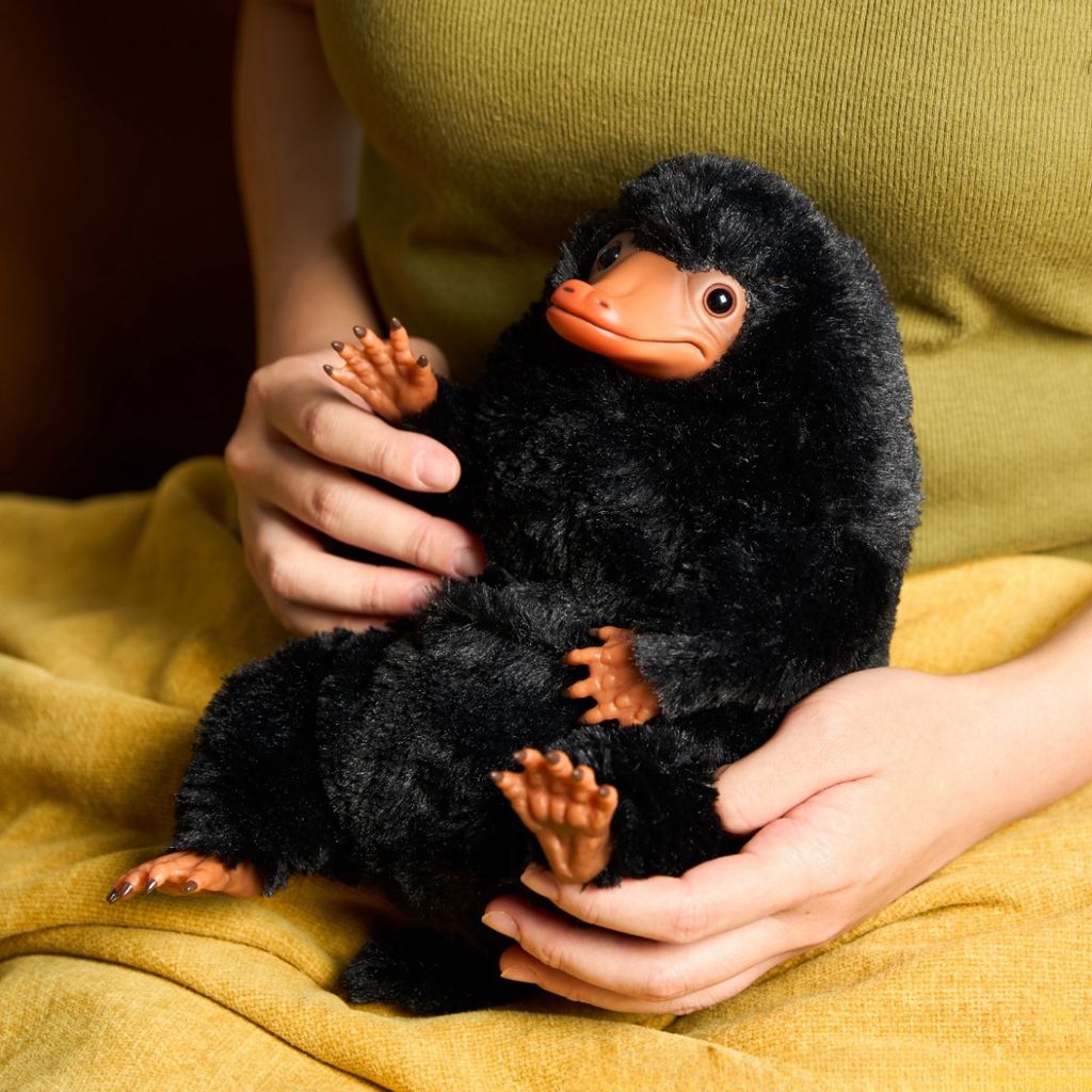 image_A77BDA78-7067-4660-AF03-98E6A7D387AB_1763893921