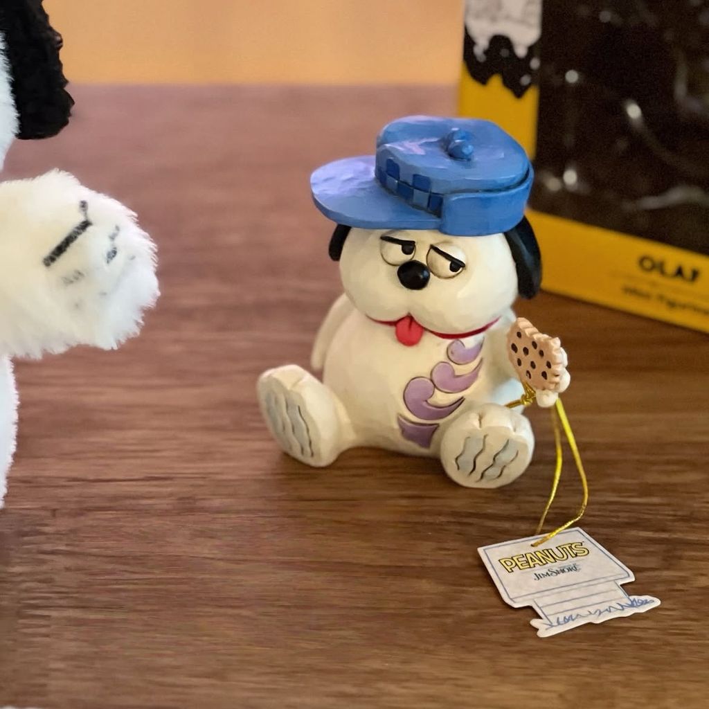 image_4FFEB75A-F5F2-42FD-911E-0D65AEF30537_1763988887