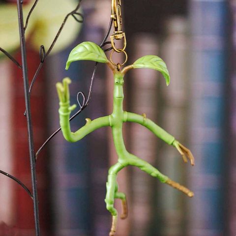 image_9791A933-C973-43D6-83D0-6B204C059610_1764339824