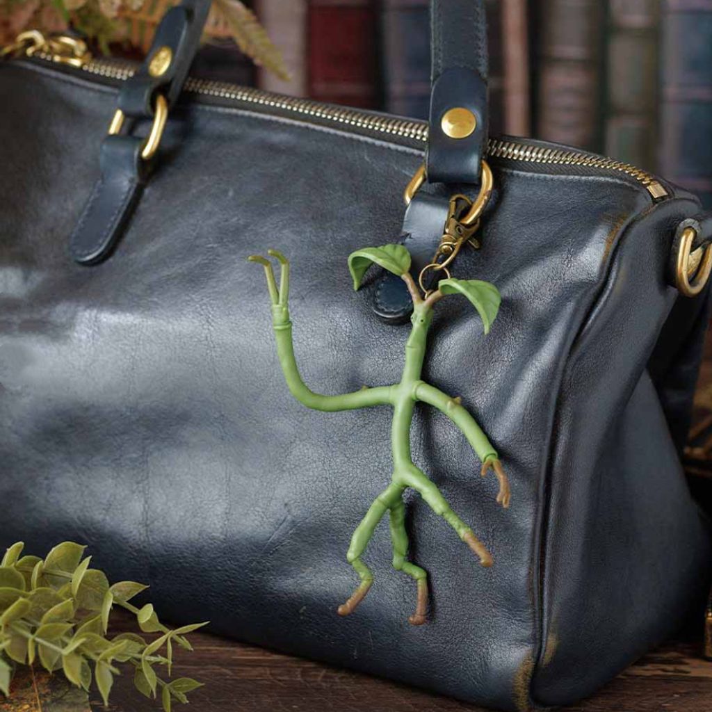 image_B4C6CC01-7529-4C9B-8239-BE48FAFFB804_1764339824