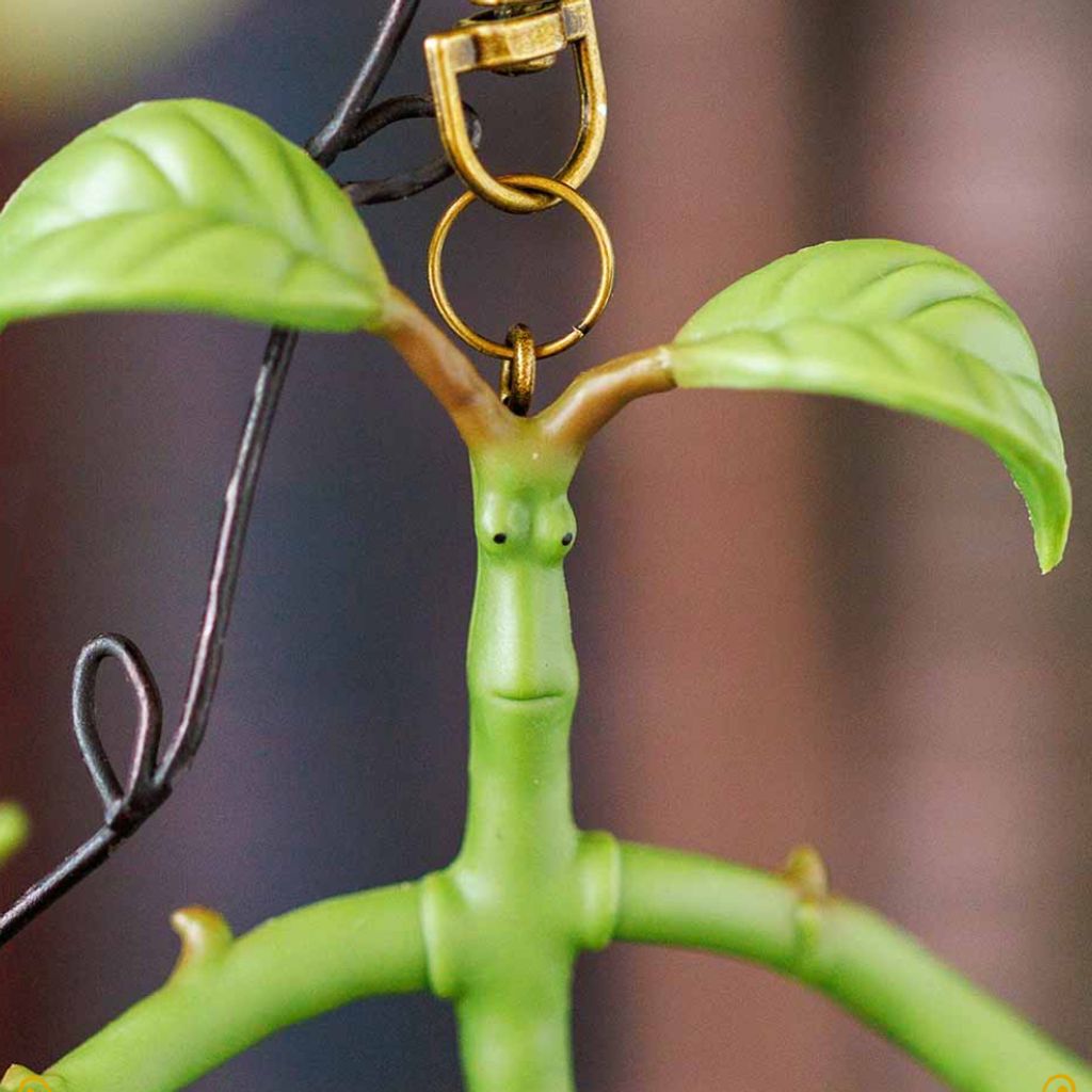 image_5F724088-9D71-4ECC-B8BD-015D074227FF_1764339824