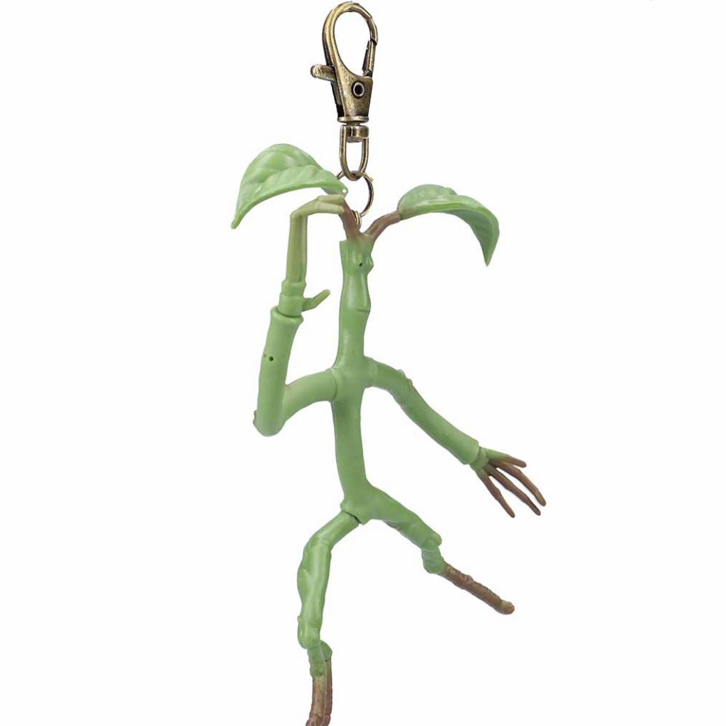 image_57DDCD61-4BDB-4764-ACB8-6A2B995EE760_1764339824